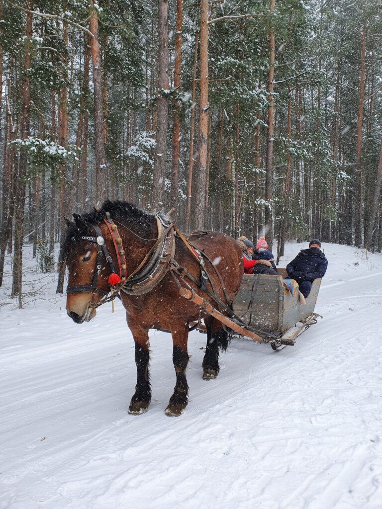 Kuligi w Julianówce